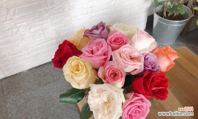 11朵玫瑰的寓意与象征