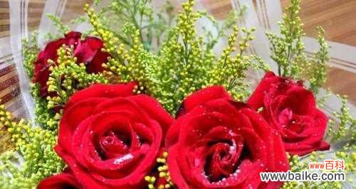 了解玫瑰花语 玫瑰花语之13朵玫瑰的代表意义