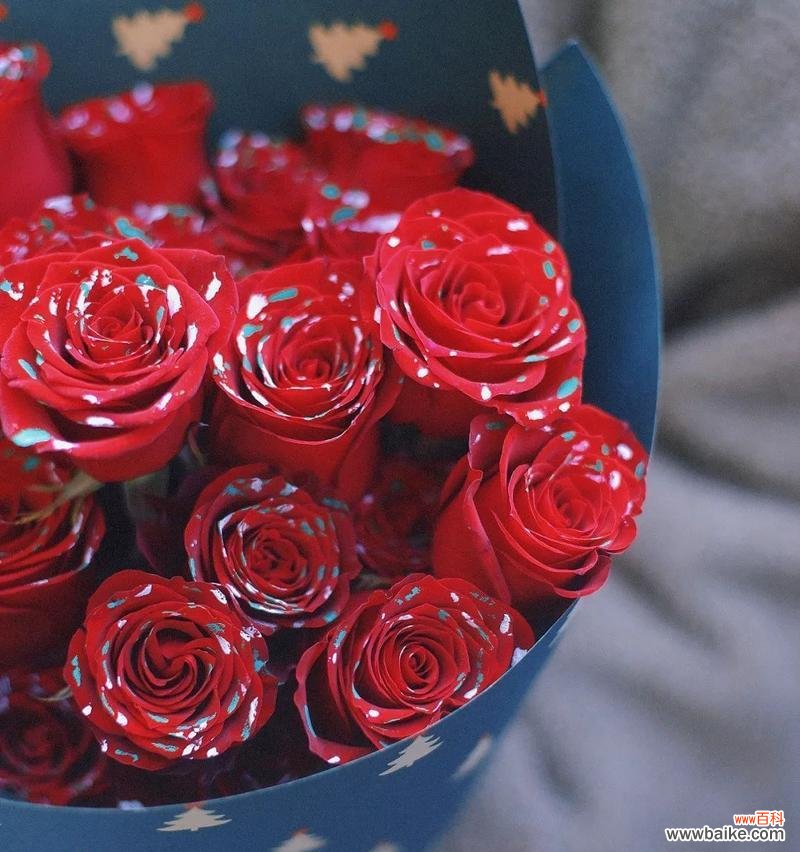 揭秘薰衣草花语的真正含义 薰衣草花语与寓意