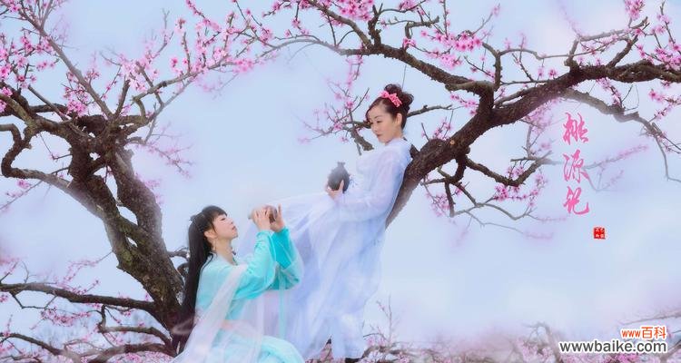 绚丽多彩的桃花世界 桃花盛开，春满人间