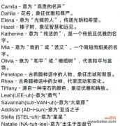 美丽高贵，开放与自由的象征 绿牡丹花语——解读花朵的隐含之意