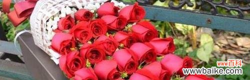 探寻33朵红玫瑰花的深层含义 33朵红玫瑰花的花语是什么意思