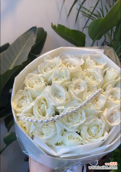 探寻白玫瑰花背后的深意 白玫瑰的爱情诗意