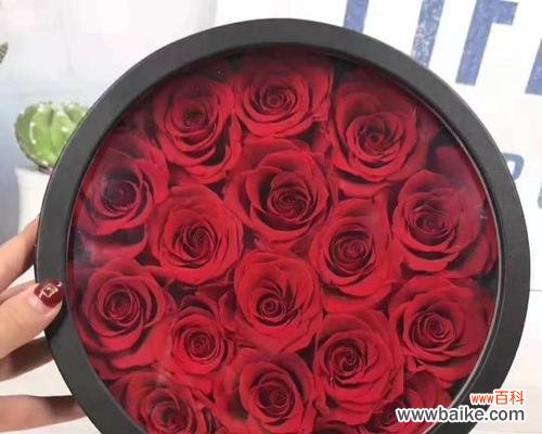 探寻玫瑰花15朵花的特殊意义 玫瑰花的含义与象征