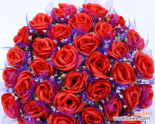 传递爱情与感激之情的浪漫佳选 18朵玫瑰花的意义及象征