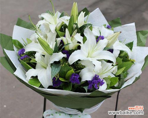 了解玫瑰花的18种不同寓意 探秘18朵玫瑰花的花语之意义