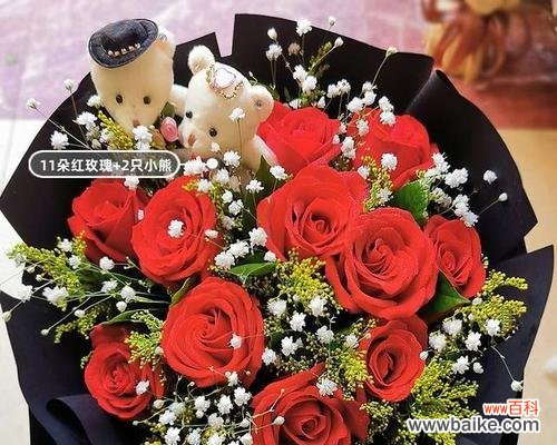 用花言巧语表达心意 17朵玫瑰花语