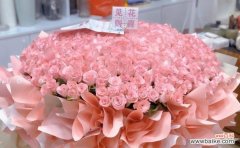 花开纷繁 寓意深远的19朵粉玫瑰