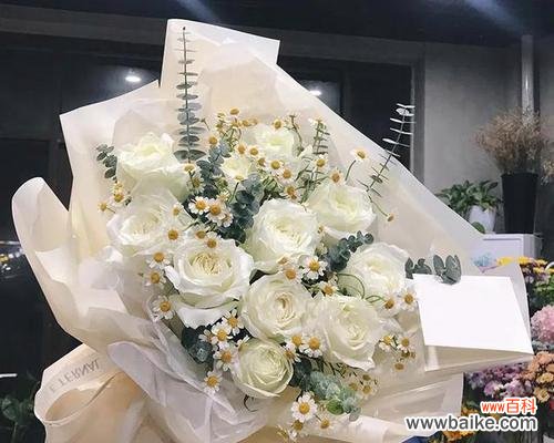 传递纯洁与无私的情感 白玫瑰花的意义及象征