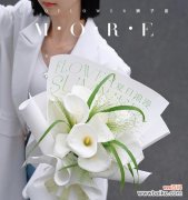 探索马蹄莲的花语 白色马蹄莲花的美丽与寓意