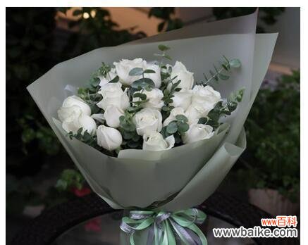 探寻花语中的浪漫情感之谜 深情告白——19朵玫瑰的含义