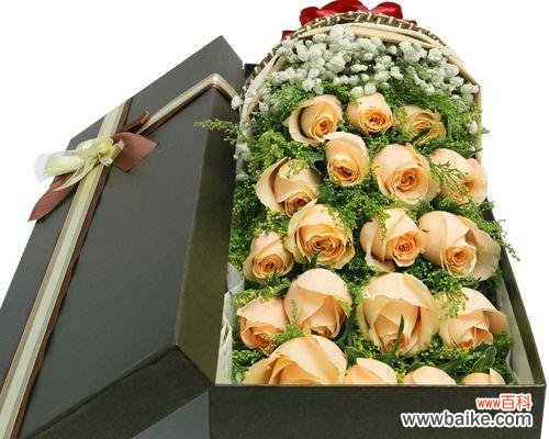 解读19朵玫瑰的浪漫寓意及意义 19朵玫瑰的含义与象征