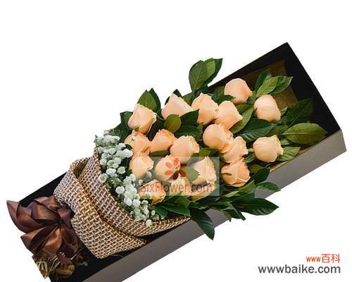 表达深情的浪漫之选 19朵香槟玫瑰的花语