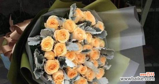 表达深情的浪漫之选 19朵香槟玫瑰的花语