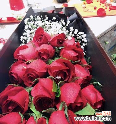 探索19支红玫瑰所传递的情感与心灵的触动 红玫瑰的花语及其象征的爱情之美