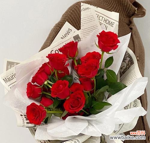 探索19支红玫瑰所传递的情感与心灵的触动 红玫瑰的花语及其象征的爱情之美