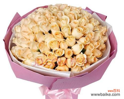 21朵香槟玫瑰的花语及其象征之美 香槟玫瑰的花语