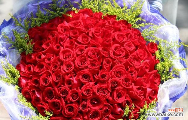 探寻玫瑰的深层含义 两朵玫瑰的意义与象征——爱与友谊