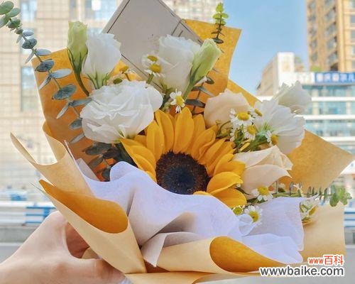 探寻玫瑰的深层含义 两朵玫瑰的意义与象征——爱与友谊