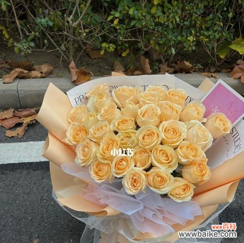 探究33朵香槟玫瑰的神秘之处 33朵香槟玫瑰的花语与意义