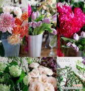 以花语诠释真诚的力量 用花语传达诚实之美