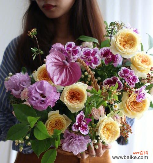 花语中的忏悔之意 忏悔的花——诉说内心深处的忏悔