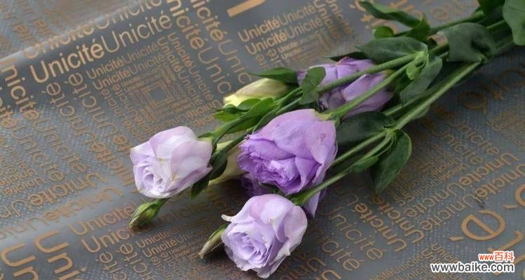 唤醒内心哀愁情感的花朵 悲伤花语