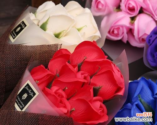 探寻七朵玫瑰背后的寓意 七朵玫瑰的花语与象征意义