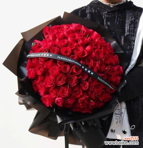 爱情的永恒和浪漫 99朵玫瑰花的寓意