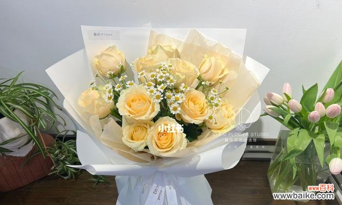 探寻香槟玫瑰花语的深刻含义 香槟玫瑰花语