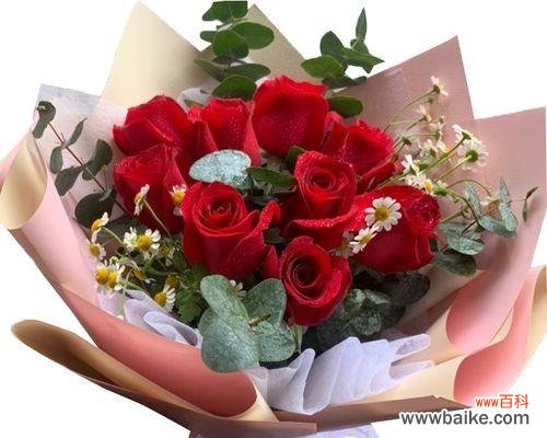 解读九朵玫瑰花的隐含含义 玫瑰花的象征意义