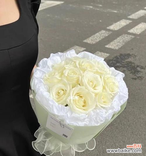 解读九朵玫瑰花的隐含含义 玫瑰花的象征意义