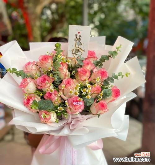 揭秘爱莎玫瑰的花语及其象征意义 爱莎玫瑰花语与寓意