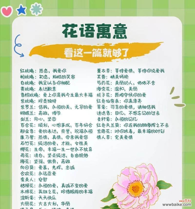 探索蓝玫瑰的神秘之美与内涵 蓝玫瑰花语与寓意