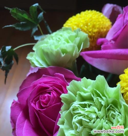 当花朵诉说父爱的情谊 父爱之花