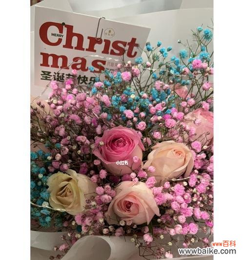 用花语表达开心 开心的花语——传递幸福与喜悦的花卉