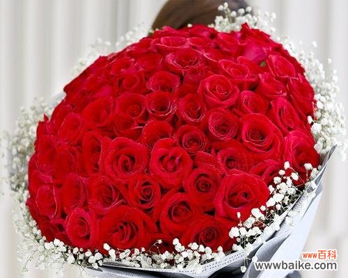 以花朵传递内心歉意 道歉之花