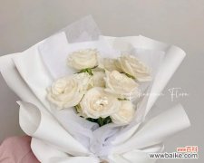 以白玫瑰花语为主题的爱情故事 白玫瑰11朵花语