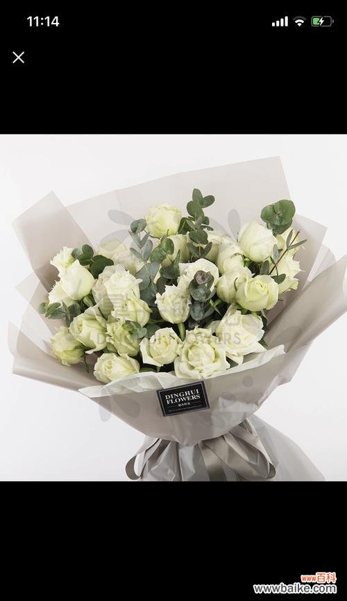 揭秘白玫瑰和红玫瑰的背后故事 白玫瑰与红玫瑰的象征意义