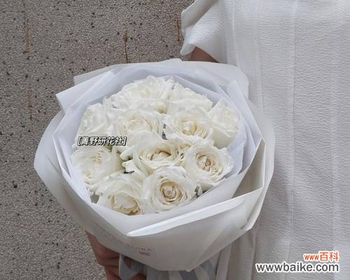 纯洁无瑕的白色情感之花 白玫瑰花的代表意义