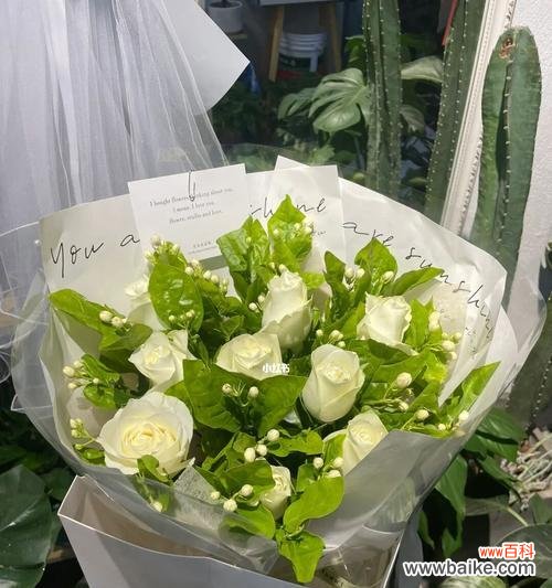 透过花语解读白玫瑰的内涵与情感 白玫瑰花的寓意与象征意义