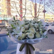 探寻白玫瑰背后的情感与美好 白玫瑰的寓意与象征意义