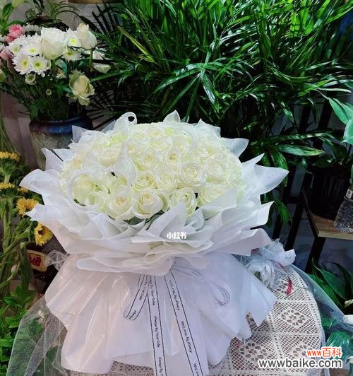 揭秘白玫瑰的美丽含义与传说 白玫瑰花语