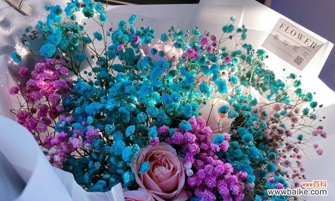 探寻喜欢的花所传递的情感和意义 花开心意，花语传情