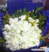 纯洁 白色玫瑰花的花语