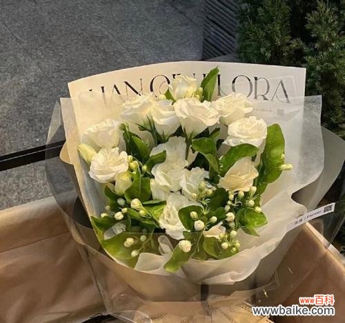 桔梗花语揭示的意义与象征 白色桔梗花的花语