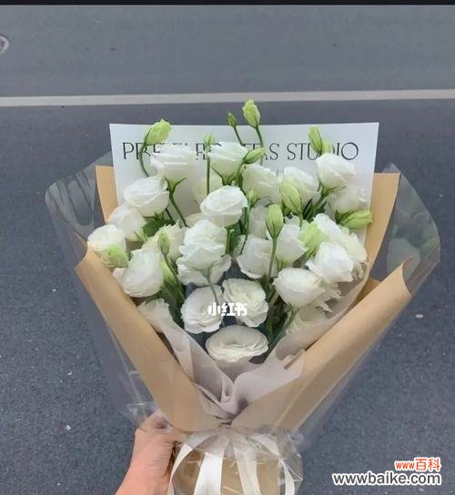 桔梗花语揭示的意义与象征 白色桔梗花的花语