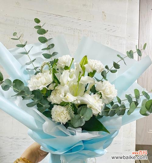 纯洁与爱的化身——白色康乃馨的美丽故事 白色康乃馨的象征意义