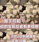 花开如海，芬芳绵长的满天星；心之所向，满怀希望的满天星 满天星，点亮心灵的花海