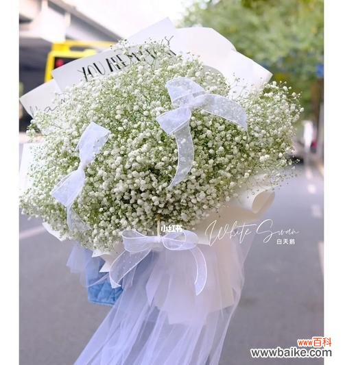 春天来临 白色满天星,花开春日之美